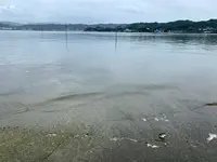 江田島の写真・動画_image_374864