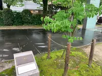平和の門の写真・動画_image_374960