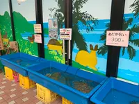 マリーナホップの写真・動画_image_374971