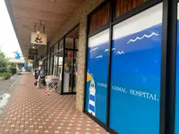 マリーナホップの写真・動画_image_374972