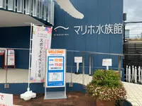 マリーナホップの写真・動画_image_374974