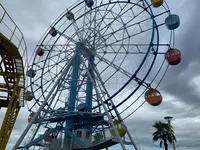 マリーナホップの写真・動画_image_374978