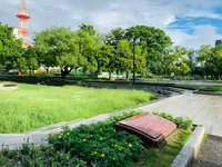 広島市こども文化科学館の写真・動画_image_375013