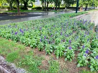 広島市こども文化科学館の写真・動画_image_375014