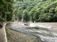 吹割の滝の写真・動画_image_375240