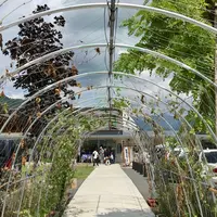 道の駅 尾瀬かたしなの写真・動画_image_375242