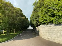 豊田市美術館の写真・動画_image_375263