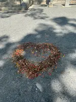 来宮神社 鳥居の写真・動画_image_375357