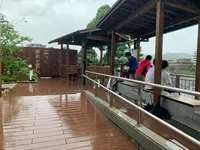 道後温泉 空の散歩道の写真・動画_image_375537