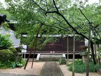 大宝寺の写真・動画_image_375556