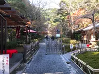 二尊院の写真・動画_image_375563