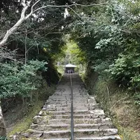 二尊院の写真・動画_image_375573