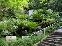 愛媛縣護國神社の写真・動画_image_375710