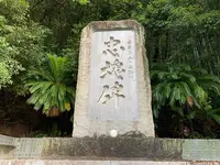 愛媛縣護國神社の写真・動画_image_375722