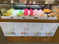 しらさぎ舎の写真・動画_image_375738