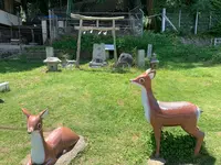 鹿島神社本社の写真・動画_image_375759