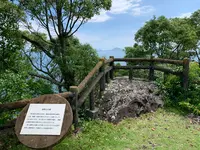 鹿島公園展望台の写真・動画_image_375771