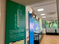 北条鹿島博物展示館の写真・動画_image_375791