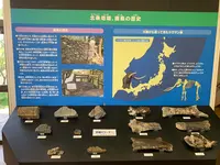 北条鹿島博物展示館の写真・動画_image_375797
