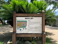 鹿島神社本社の写真・動画_image_375799