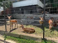 鹿島の写真・動画_image_375826