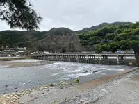 渡月橋の写真・動画_image_375833