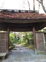 祇王寺の写真・動画_image_375842