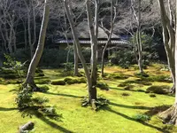 祇王寺の写真・動画_image_375863