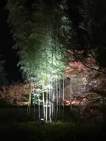 宝厳院の写真・動画_image_375907