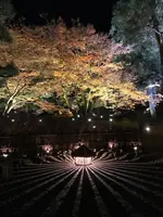 宝厳院の写真・動画_image_375909