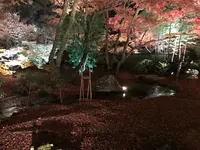 宝厳院の写真・動画_image_375910