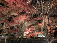 宝厳院の写真・動画_image_375911
