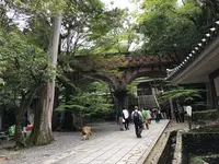 南禅寺の写真・動画_image_375917