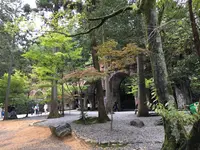 南禅寺の写真・動画_image_375918