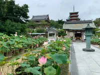 耕三寺・耕三寺博物館の写真・動画_image_376165