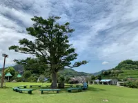 尾道市因島フラワーセンターの写真・動画_image_376175