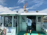 北条港の写真・動画_image_376443