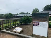 松山城二之丸史跡庭園の写真・動画_image_376470