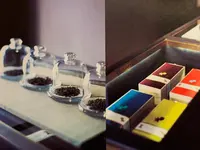 子村莊園 CHARM VILLAの写真・動画_image_376653