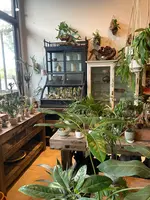 CASICAの写真・動画_image_376736