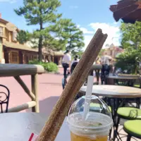 東京ディズニーリゾートの写真・動画_image_376742