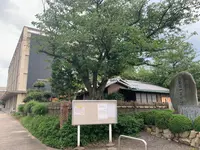今治市河野美術館の写真・動画_image_376783