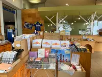 来島海峡展望館の写真・動画_image_376842