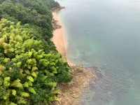来島海峡大橋の写真・動画_image_376846