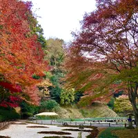 明月院（あじさい寺）の写真・動画_image_377185