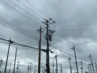 らーめん青龍の写真・動画_image_377255