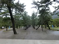 出雲大社の写真・動画_image_377394