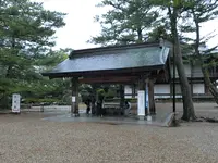 出雲大社の写真・動画_image_377395