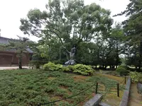 出雲大社の写真・動画_image_377398