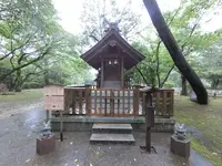 出雲大社の写真・動画_image_377399